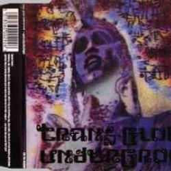 TRANS-GLOBAL UNDERGROUND EARTH TRIBE / SLOWFINGER Фирменный CD 