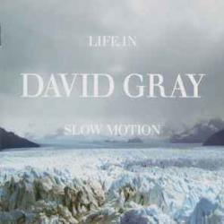 DAVID GRAY Life In Slow Motion Фирменный CD 