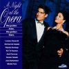 A Night At The Opera (Die Großen Arien. Die Großen Stars.)