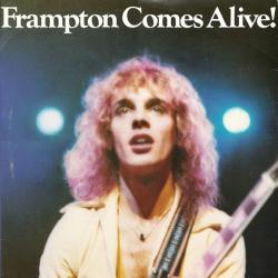PETER FRAMPTON Frampton Comes Alive! Виниловая пластинка 