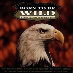 VARIOUS BORN TO BE WILD (18 ROCK CLASSICS) Фирменный CD 