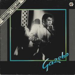 GAZEBO GAZEBO Виниловая пластинка 