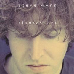 Steve Wynn Fluorescent Фирменный CD 