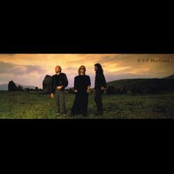 BEE GEES E.S.P Виниловая пластинка 