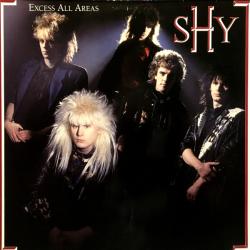 SHY EXCESS ALL AREAS Виниловая пластинка 