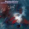 Little Wing