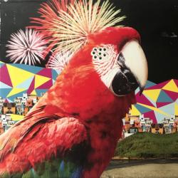 El Guincho Alegranza Фирменный CD 