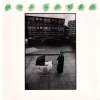 Mrs. Green