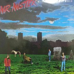 MR. MISTER WELCOME TO THE REAL WORLD Виниловая пластинка 