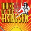 House Of The Rising Sun - 20 Versions