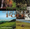 THE BEST OF IRISH FOLK VOL. 1