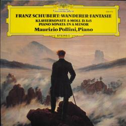 SCHUBERT Wanderer-Fantasie / Klaviersonate A-moll D. 845 - Piano Sonata In A Minor Виниловая пластинка 