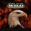 BORN TO BE WILD (18 ROCK CLASSICS)