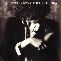 The Waterboys This Is The Sea Фирменный CD The Waterboys This Is The Sea Фирменный CD