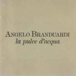 ANGELO BRANDUARDI LA PULCE D'ACQUA Фирменный CD 