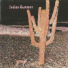 INDIAN SUMMER