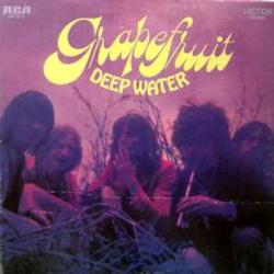 GRAPEFRUIT DEEP WATER Виниловая пластинка 