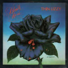 Black Rose (A Rock Legend)