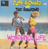 Wonderful Life