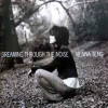 DREAMING THROUGH THE NOISE