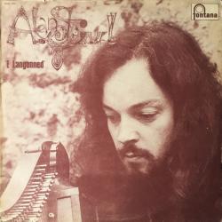 ALAN STIVELL E Langonned = A Langonnet Виниловая пластинка 