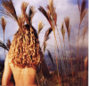 Wilderness