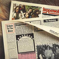 STEPPENWOLF Pop Gold Виниловая пластинка 