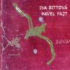 Svatba