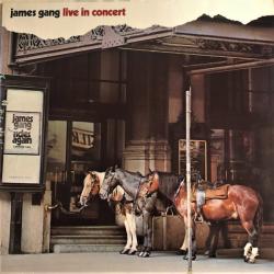 JAMES GANG Live In Concert Виниловая пластинка 