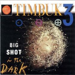 TIMBUK 3 Big Shot In The Dark Фирменный CD 
