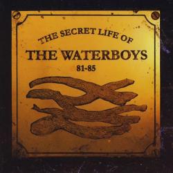 The Waterboys The Secret Life Of The Waterboys 81-85 Фирменный CD 