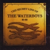 The Secret Life Of The Waterboys 81-85