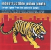 Indestructible Asian Beats [Urban Tigers From The Concrete Jungle]