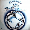 Music Inspired By The Snow Goose Music Inspired By The Snow Goose