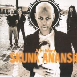 SKUNK ANANSIE All I Want Фирменный CD 