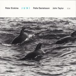 Peter Erskine, Palle Danielsson, John Taylor JUNI Фирменный CD 