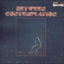BETWEEN Contemplation Виниловая пластинка 