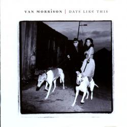 VAN MORRISON Days Like This Фирменный CD VAN MORRISON Days Like This Фирменный CD